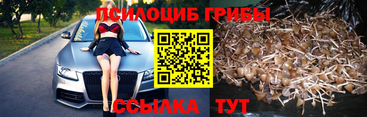 Галлюциногенные грибы Magic Shrooms Сертолово