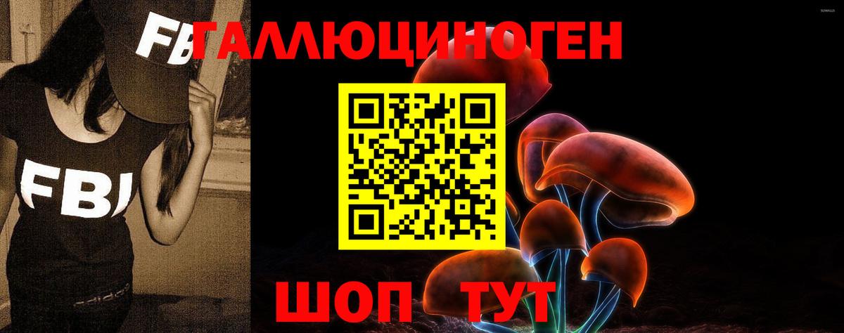 Псилоцибиновые грибы мухоморы  закладки  Сертолово  Вход с VPN 